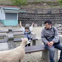 清境除了看羊🐑路途還有美食「清境沐四季景觀餐廳」被壯闊的山巒環抱⛰️ 徜徉在大自然的調色盤🌄 