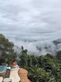 Misty Forest 🌳บ้านป่าหมอก ที่พักท่ามกลางสายหมอก 