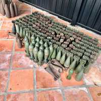 戦争博物館で世界平和を願う。