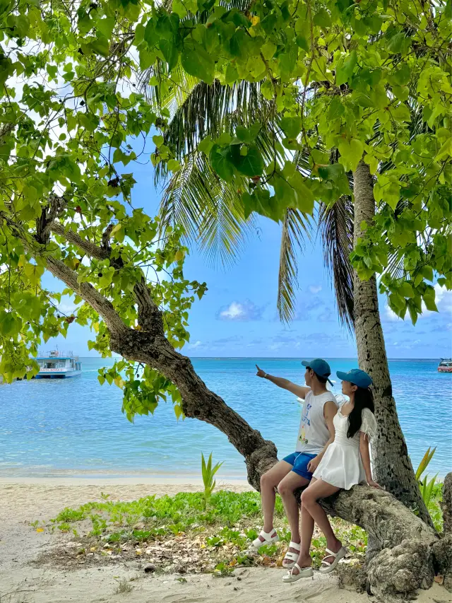 寶礦力水特海洋色「馬納加哈島」