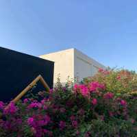 Explore paradise on Kish Island: pristine beaches, vibrant culture