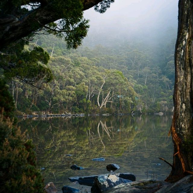 Discover Tasmania's East Coast 🇦🇺🌊