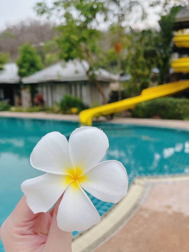 ไร่กุสุมา สระบุรี