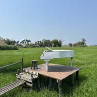 ホイアン＊田園風景の中にあるオシャレcafe