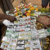 Spice farm exploration in Zanzibar 