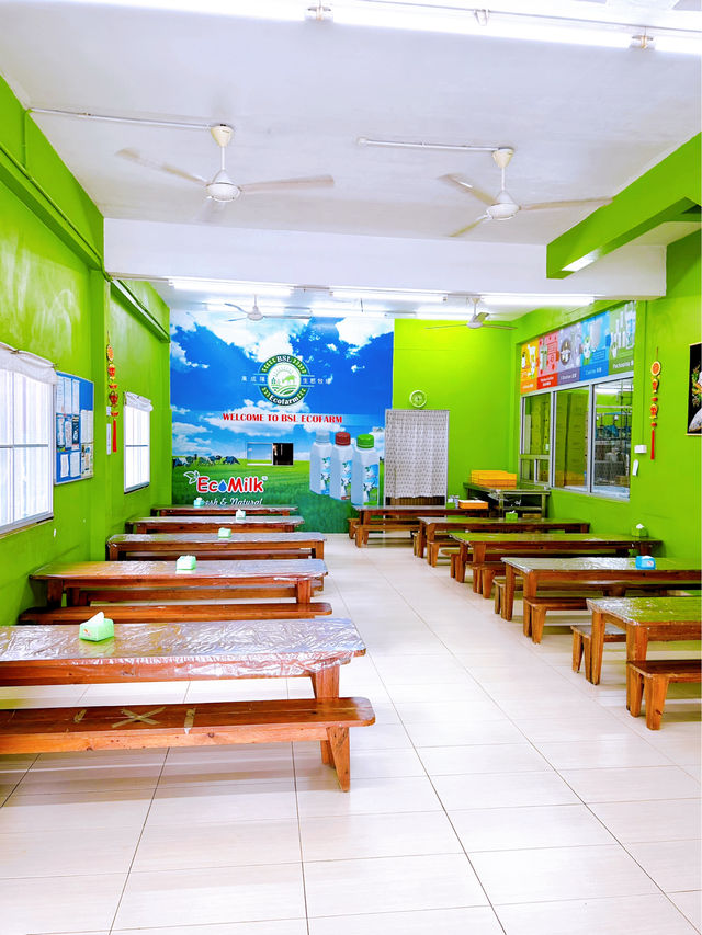 Art Workshop at BSL Ecofarm 