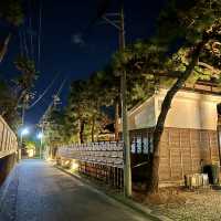 〜神奈川県〜鎌倉の名店！松原庵！古民家で頂くディナー🍽️