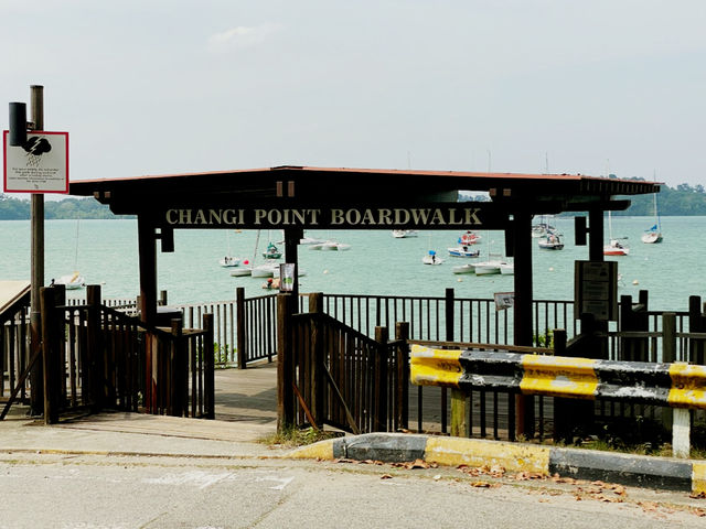 Changi Point Coastal Walk