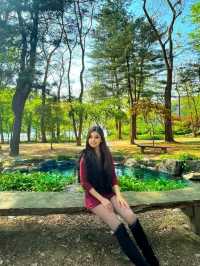 Escape to Nami Island: A Seoul Day Trip 🌳🍁🇰🇷