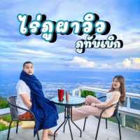 ไร่ภูผาวิว ภูทับเบิก