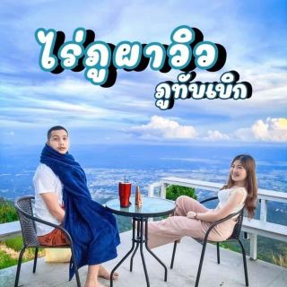 ไร่ภูผาวิว ภูทับเบิก