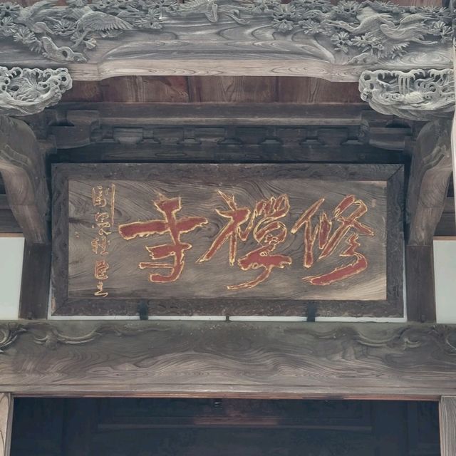 【伊豆半島】修善寺