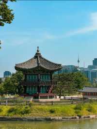 Sunny Day at Gyeongbokgung Palace in Seoul 🇰🇷