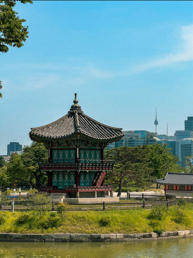 Sunny Day at Gyeongbokgung Palace in Seoul 🇰🇷