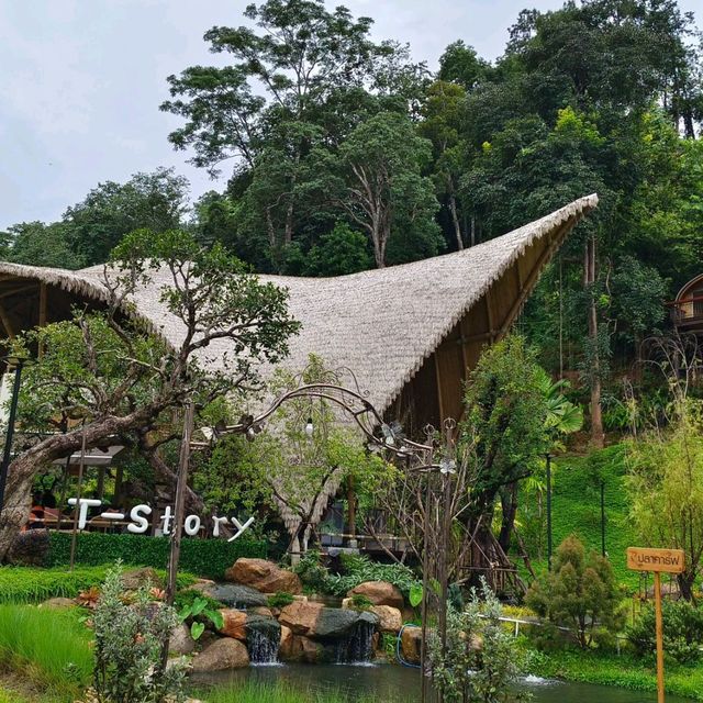 story ที่สวยงาม