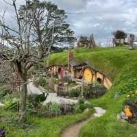 Must visit place in auckland