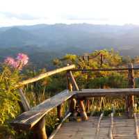 เที่ยวภูเขา ภูชี้เพ้อ แม่ฮ่องสอน 