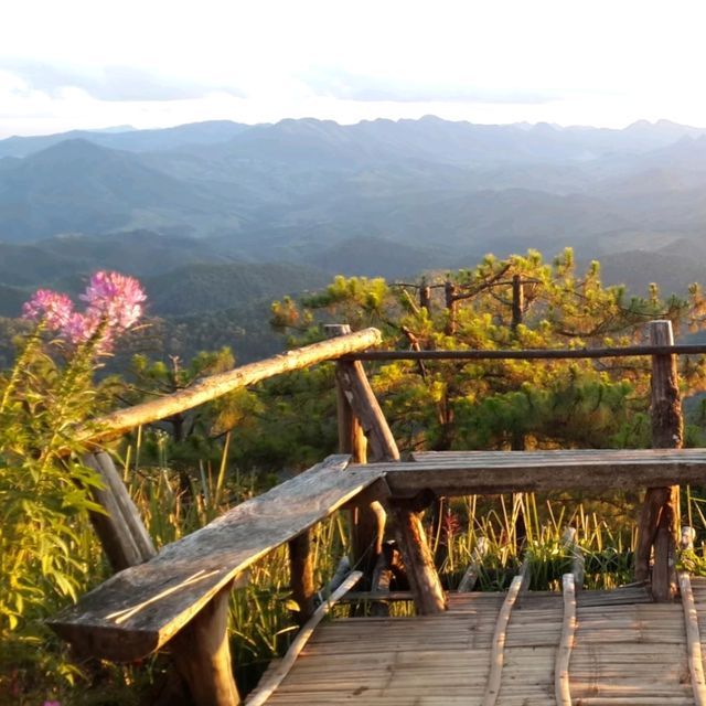 เที่ยวภูเขา ภูชี้เพ้อ แม่ฮ่องสอน 