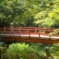 京都三千院 ⛩️🍵 寧靜緻雅的好去處 ✨