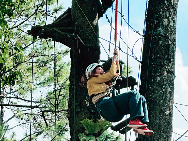 Chiang Mai Pongyang Jungle Coaster and Zipline Tour