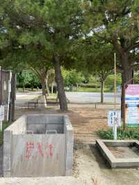 【大阪府:泉南】昔ながらの海の家も楽しめるときめきビーチ