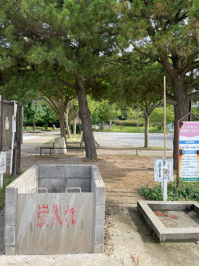 【大阪府:泉南】昔ながらの海の家も楽しめるときめきビーチ