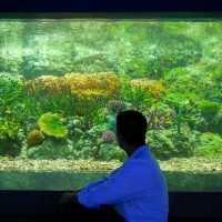 ทัวร์โลกใต้น้ำกับอควาเรียมบางแสนกันครับ 🪼🐠🦈