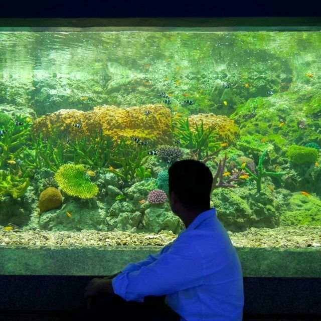 ทัวร์โลกใต้น้ำกับอควาเรียมบางแสนกันครับ 🪼🐠🦈