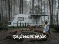 สวนป่า ดอยบ่อหลวง