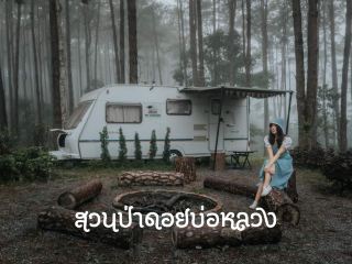 สวนป่า ดอยบ่อหลวง