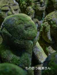 千二百体の羅漢さんに癒やされたい！そんな時は【愛宕念仏寺】
