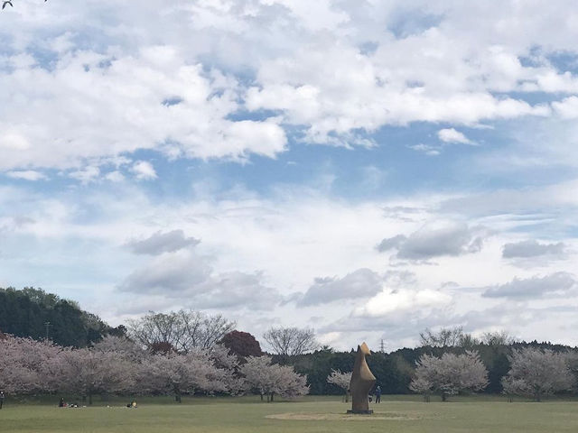 【千葉・佐倉】2025年1月下旬 休館が決まったDIC川村記念美術館