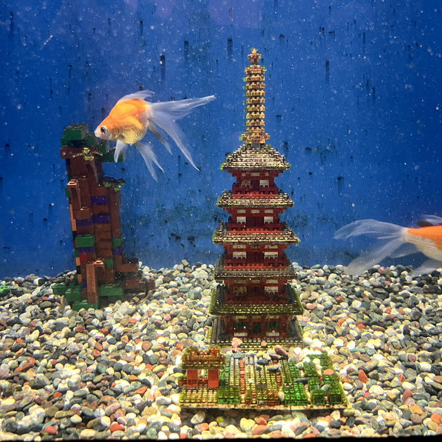 鶴岡駅からバスで40分！『加茂水族館』でクラゲを見る🪼