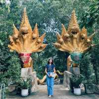 #วัดธรรมสถิต #วัดป่าระยอง #Rayong #บ้านเพ