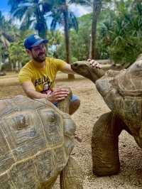 Pet the giant tortoises 😍🐢