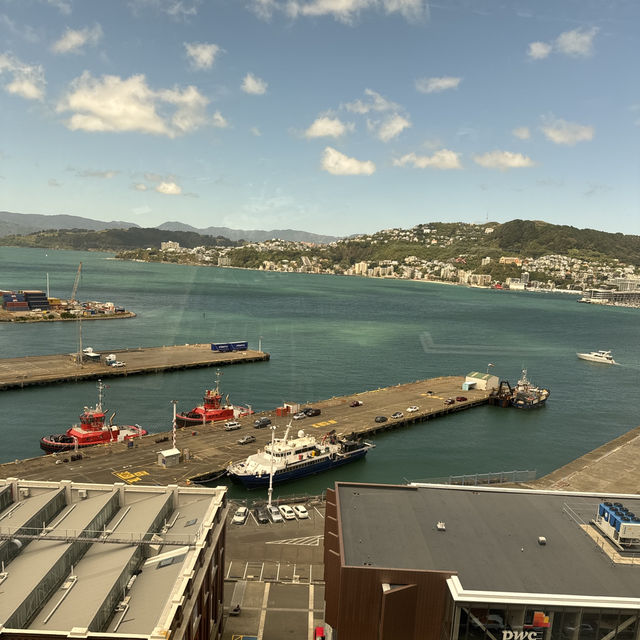 Wellington Day Out: Nature and Nightlife