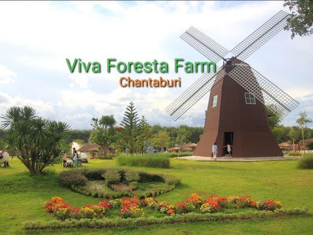 เที่ยวชมสัตว์ที่ (Viva Foresta Farm)