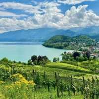 Lake Thun