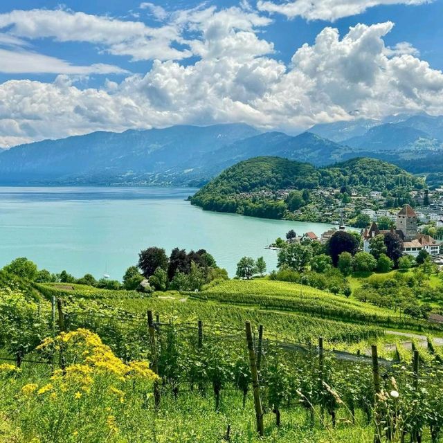 Lake Thun