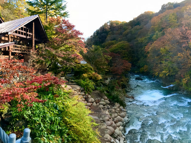 ธรรมชาติที่มหัศจรรย์สร้าง🍁”Takaragawa Onsen“