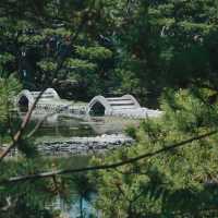 氤氳綠意～感應院