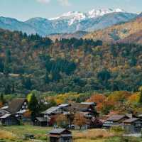 จัดจ้านที่หมู่บ้านชิราคาวาโกะ Shirakawago