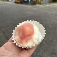 在阿蘇感受大自然的魅力❤️