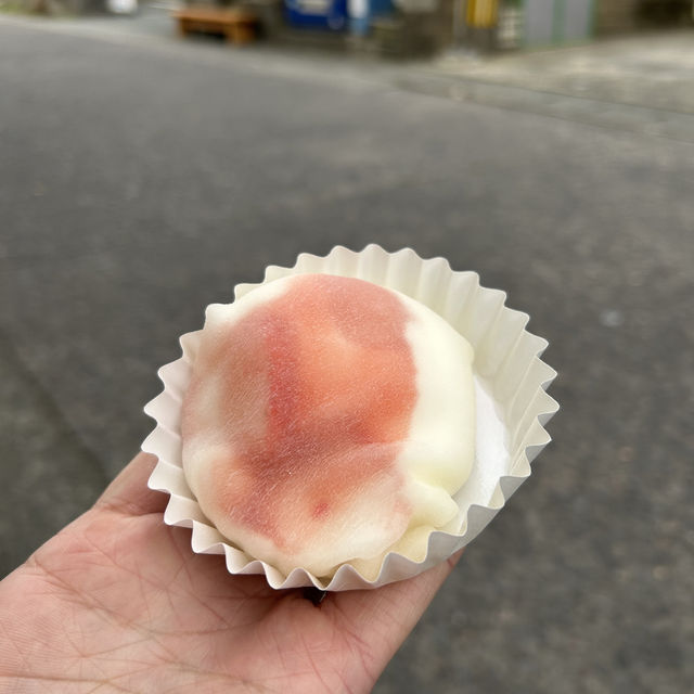 在阿蘇感受大自然的魅力❤️