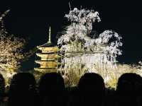 【京都/南区】京都を代表するランドマークタワー「五重塔」