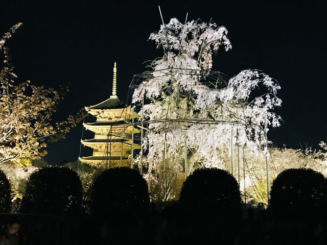 【京都/南区】京都を代表するランドマークタワー「五重塔」