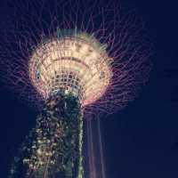 Gardens by the Bay ：白日綠意與夜晚燈光的完美結合