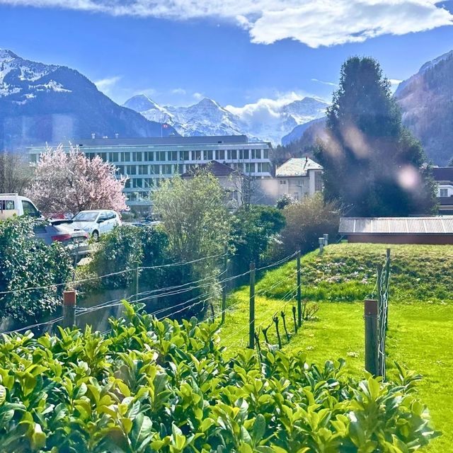 😊 Unterseen Switzerland