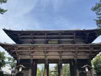 東大寺/ 祈禱天下太平的宏偉寺院