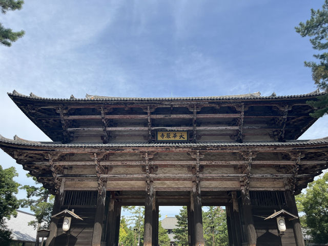 東大寺/ 祈禱天下太平的宏偉寺院